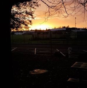 Meet your Posher, Bryan